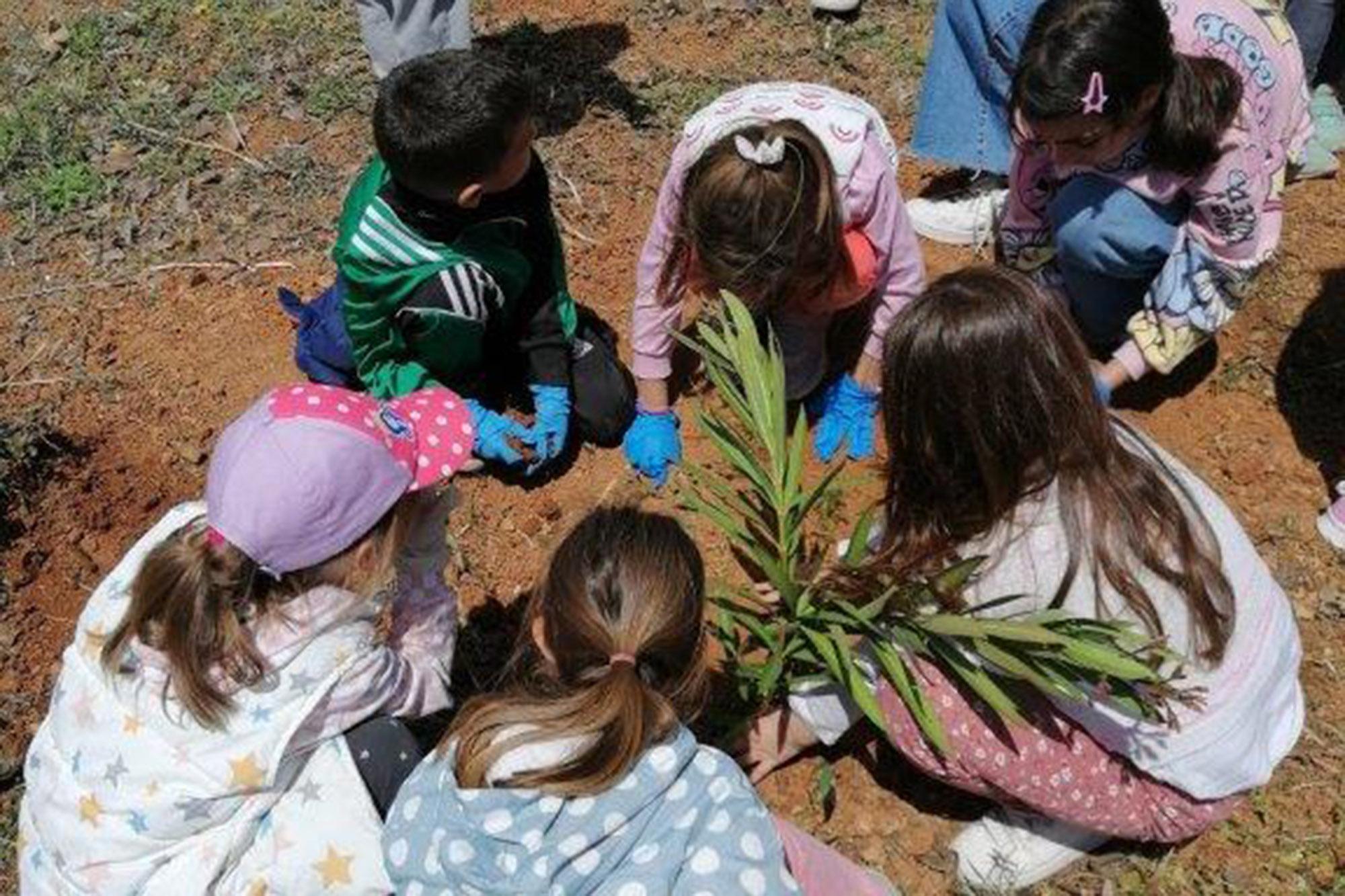 Αναδάσωση στο Πάρκο Ανθούσας στην Παλλήνη με τη στήριξη της Αττικής Οδού