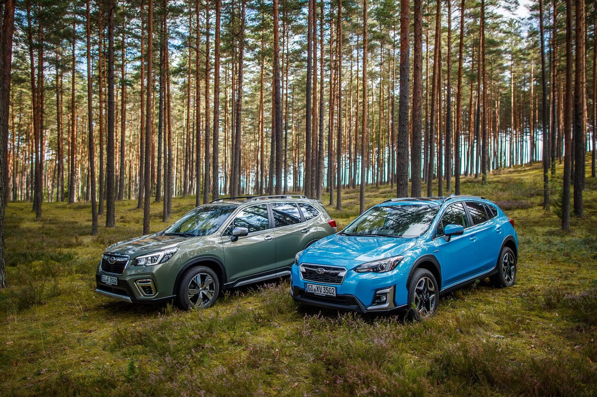 Δωρεάν χειμερινός και τεχνικός έλεγχος Subaru