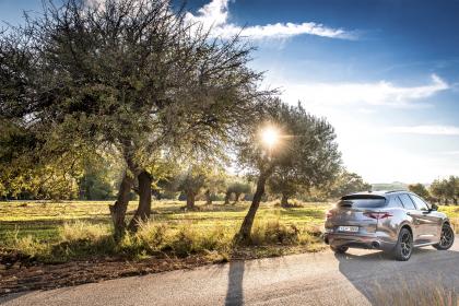 Alfa Romeo Stelvio 2.2 TD AT8 Veloce 210Ps