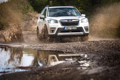 Subaru Forester 2.0 e-Boxer 150Ps