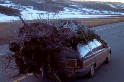 Η πραγματική ιστορία του Ford Taurus Wagon από την ταινία: Τα Χριστούγεννα του τρελού θηριοτροφείου